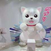 ヒメ日記 2025/02/04 16:46 投稿 美夏（ミカ） アバンチュール(五反田)