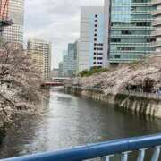 ヒメ日記 2025/04/02 13:46 投稿 美夏（ミカ） アバンチュール(五反田)