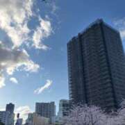 ヒメ日記 2025/04/16 16:01 投稿 美夏（ミカ） アバンチュール(五反田)