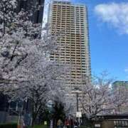 ヒメ日記 2025/04/28 13:31 投稿 美夏（ミカ） アバンチュール(五反田)