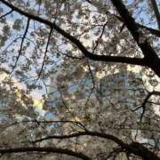 ヒメ日記 2025/04/28 13:46 投稿 美夏（ミカ） アバンチュール(五反田)