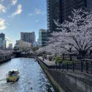 ヒメ日記 2025/05/01 13:31 投稿 美夏（ミカ） アバンチュール(五反田)