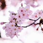 ヒメ日記 2025/05/20 18:31 投稿 美夏（ミカ） アバンチュール(五反田)