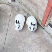 ヒメ日記 2025/06/09 15:31 投稿 美夏（ミカ） アバンチュール(五反田)