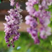 ヒメ日記 2025/06/25 13:16 投稿 美夏（ミカ） アバンチュール(五反田)