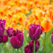 ヒメ日記 2025/06/25 16:46 投稿 美夏（ミカ） アバンチュール(五反田)