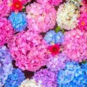 ヒメ日記 2025/07/06 12:31 投稿 美夏（ミカ） アバンチュール(五反田)