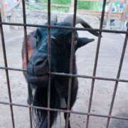 ヒメ日記 2025/07/07 15:16 投稿 美夏（ミカ） アバンチュール(五反田)