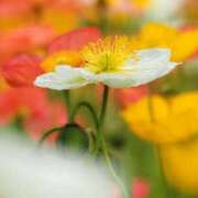 ヒメ日記 2025/07/12 13:46 投稿 美夏（ミカ） アバンチュール(五反田)