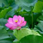 ヒメ日記 2025/08/18 23:01 投稿 美夏（ミカ） アバンチュール(五反田)