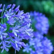 ヒメ日記 2025/09/12 18:16 投稿 美夏（ミカ） アバンチュール(五反田)