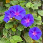 ヒメ日記 2025/09/23 00:31 投稿 美夏（ミカ） アバンチュール(五反田)