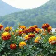 ヒメ日記 2025/10/02 13:16 投稿 美夏（ミカ） アバンチュール(五反田)