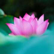 ヒメ日記 2025/10/04 13:31 投稿 美夏（ミカ） アバンチュール(五反田)