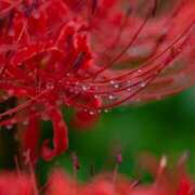 ヒメ日記 2025/10/05 17:01 投稿 美夏（ミカ） アバンチュール(五反田)