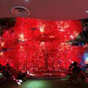 ヒメ日記 2025/11/05 02:16 投稿 美夏（ミカ） アバンチュール(五反田)