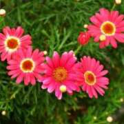 ヒメ日記 2025/11/30 00:46 投稿 美夏（ミカ） アバンチュール(五反田)