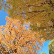 ヒメ日記 2025/12/13 13:31 投稿 美夏（ミカ） アバンチュール(五反田)