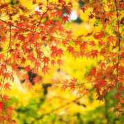 ヒメ日記 2025/12/18 19:46 投稿 美夏（ミカ） アバンチュール(五反田)