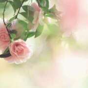 ヒメ日記 2026/01/29 15:16 投稿 美夏（ミカ） アバンチュール(五反田)