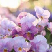 ヒメ日記 2026/02/02 20:01 投稿 美夏（ミカ） アバンチュール(五反田)