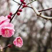 ヒメ日記 2026/02/02 20:16 投稿 美夏（ミカ） アバンチュール(五反田)