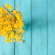 ヒメ日記 2026/02/10 15:46 投稿 美夏（ミカ） アバンチュール(五反田)