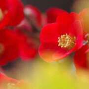 ヒメ日記 2026/03/13 13:16 投稿 美夏（ミカ） アバンチュール(五反田)