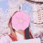 ヒメ日記 2026/04/02 19:01 投稿 美夏（ミカ） アバンチュール(五反田)