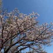 ヒメ日記 2026/04/23 13:46 投稿 美夏（ミカ） アバンチュール(五反田)