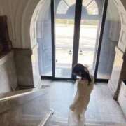 ヒメ日記 2025/02/17 22:46 投稿 美優（ミユ） アバンチュール(五反田)