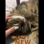 ヒメ日記 2025/01/02 23:16 投稿 志保（シホ） アバンチュール(五反田)