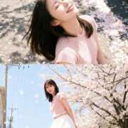 ヒメ日記 2026/04/06 13:31 投稿 志保（シホ） アバンチュール(五反田)