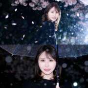 ヒメ日記 2026/04/09 17:46 投稿 志保（シホ） アバンチュール(五反田)