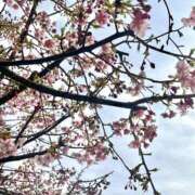 ヒメ日記 2025/02/23 14:31 投稿 千尋（チヒロ） アバンチュール(五反田)