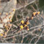 ヒメ日記 2025/03/25 09:01 投稿 千尋（チヒロ） アバンチュール(五反田)