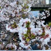 ヒメ日記 2025/04/07 00:01 投稿 千尋（チヒロ） アバンチュール(五反田)