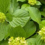 ヒメ日記 2025/05/30 00:31 投稿 千尋（チヒロ） アバンチュール(五反田)