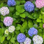 ヒメ日記 2025/06/03 12:02 投稿 千尋（チヒロ） アバンチュール(五反田)