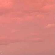 ヒメ日記 2025/08/19 00:31 投稿 千尋（チヒロ） アバンチュール(五反田)