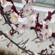 ヒメ日記 2026/02/28 16:16 投稿 千尋（チヒロ） アバンチュール(五反田)