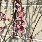 ヒメ日記 2026/03/01 18:17 投稿 千尋（チヒロ） アバンチュール(五反田)