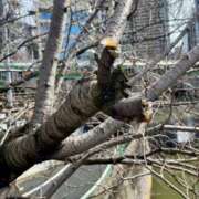 ヒメ日記 2026/03/04 21:01 投稿 千尋（チヒロ） アバンチュール(五反田)