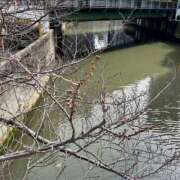 ヒメ日記 2026/03/08 21:31 投稿 千尋（チヒロ） アバンチュール(五反田)