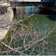 ヒメ日記 2026/03/19 23:46 投稿 千尋（チヒロ） アバンチュール(五反田)