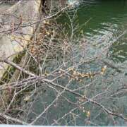 ヒメ日記 2026/03/25 01:01 投稿 千尋（チヒロ） アバンチュール(五反田)