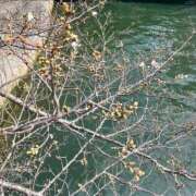 ヒメ日記 2026/03/29 00:46 投稿 千尋（チヒロ） アバンチュール(五反田)