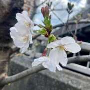 ヒメ日記 2026/03/29 21:16 投稿 千尋（チヒロ） アバンチュール(五反田)