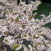 ヒメ日記 2026/04/07 00:31 投稿 千尋（チヒロ） アバンチュール(五反田)