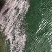 ヒメ日記 2026/04/08 00:16 投稿 千尋（チヒロ） アバンチュール(五反田)